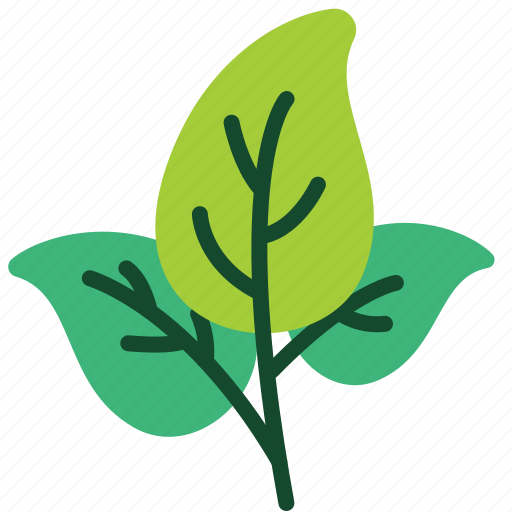Basil, vegetable, leaf, green icon - Download on Iconfinder