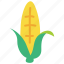 corn, maize, agriculture, vegetable 