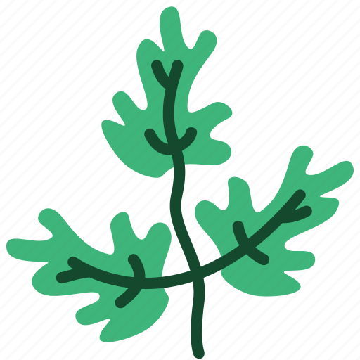 Parsley, vegetable, green, leaf icon - Download on Iconfinder