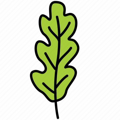 Arugula, vegetable, leaf, green icon - Download on Iconfinder