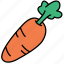 carrot, vegetarian, vegetable, food 