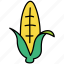 corn, maize, agriculture, vegetable 