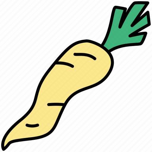 Parsnip, root vegetable, vegetable, healthy icon - Download on Iconfinder