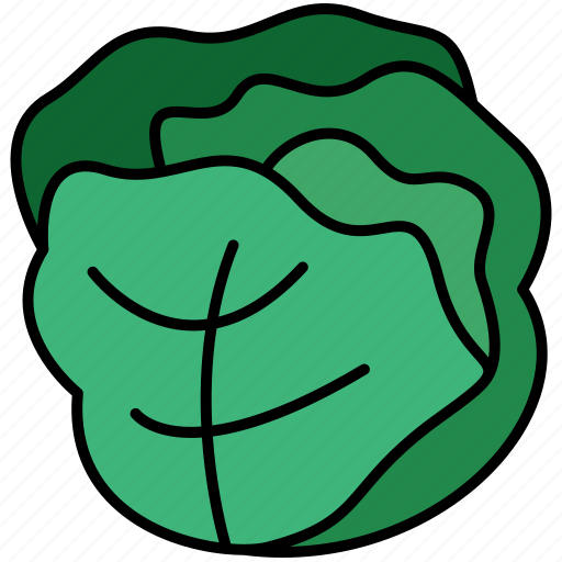Cabbage, white cabbage, cauliflower, vegetable icon - Download on Iconfinder