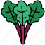 rhubarb, vegetable, healthy, food 