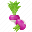 turnip, vegetable, food, fresh, healthy, root, garden