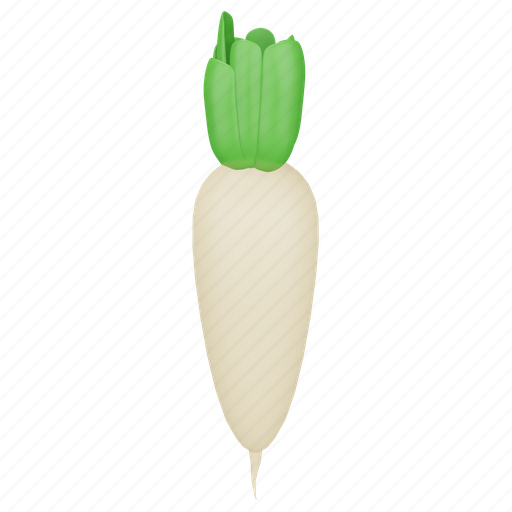 Radish, vegetable, food, fresh, white, root, healthy 3D illustration - Download on Iconfinder