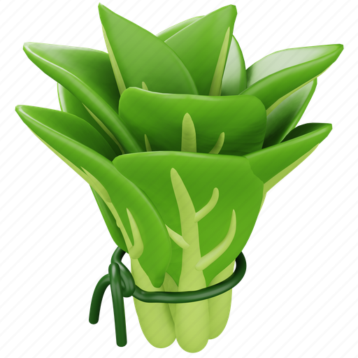 Spinach, vegetable, food, fresh, leaf, salad, healthy 3D illustration - Download on Iconfinder