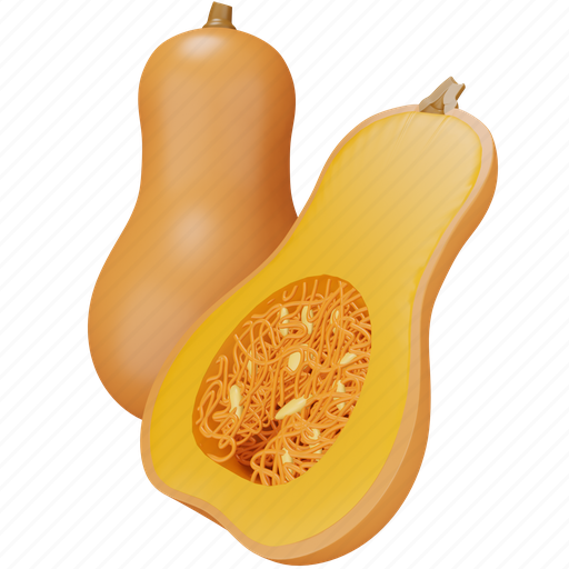 Squash, vegetable, food, fresh, healthy, butternut 3D illustration - Download on Iconfinder