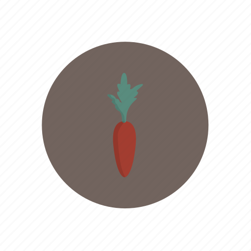 Vegetables, carrot icon - Download on Iconfinder