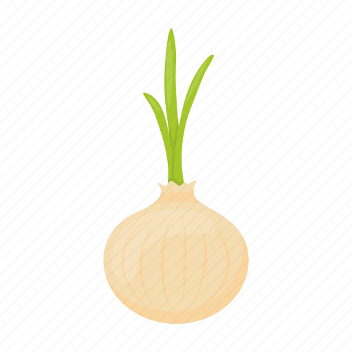 Agriculture, food, garden, onion, plant, vegetable, vegetables icon - Download on Iconfinder