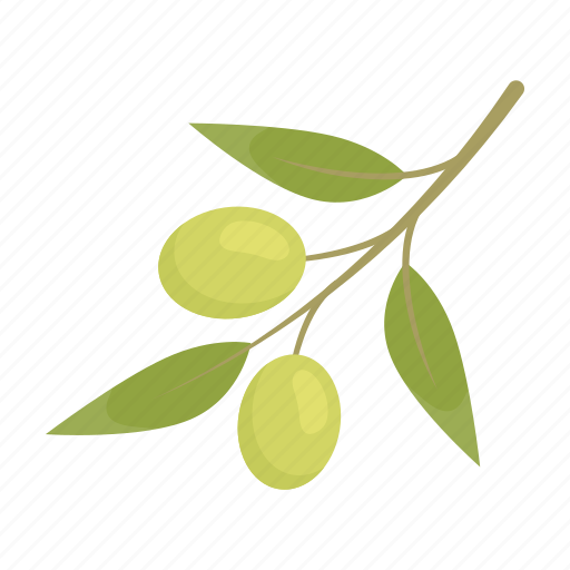 Branch, cooking, food, oil, olive, plant, tree icon - Download on Iconfinder