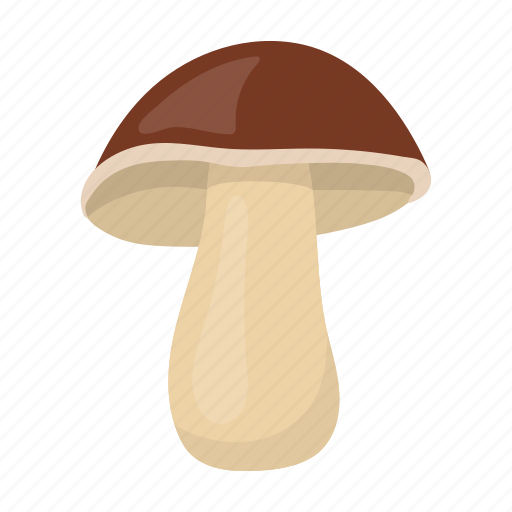 Food, fungus, meal, mushroom, plant icon - Download on Iconfinder