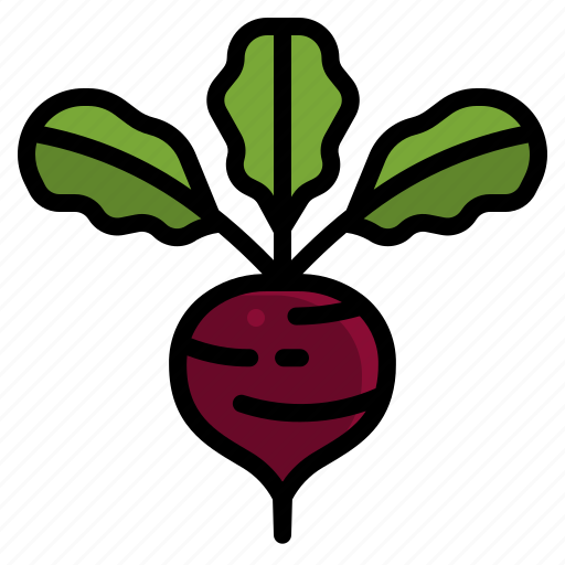 Beetroot, food, healthy, kitchen, roots, turnip, vegetable icon - Download on Iconfinder