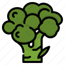 broccoli, flower, food, plants, vegetable
