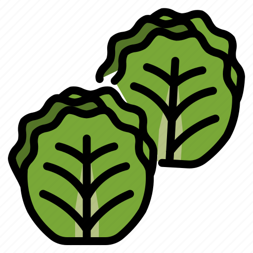 Brussel, food, healthy, kitchen, leaves, sprouts, vegetable icon - Download on Iconfinder