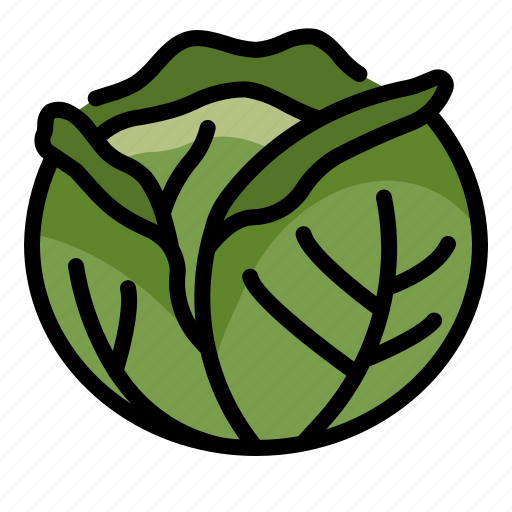Cabbage, food, green, healthy, leaves, vegetable icon - Download on Iconfinder