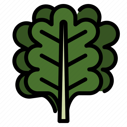 Green, kale, leaf, salad, vegetable icon - Download on Iconfinder