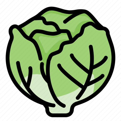 Green, iceberg, leaf, lettuce, salad, vegetable icon - Download on Iconfinder