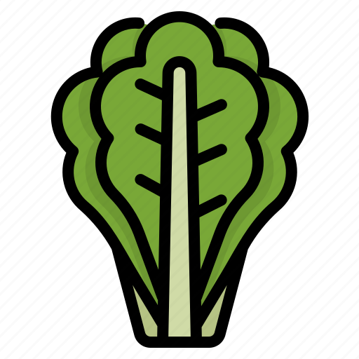 Green, leaf, lettuce, romaine, salad, vegetable icon - Download on Iconfinder
