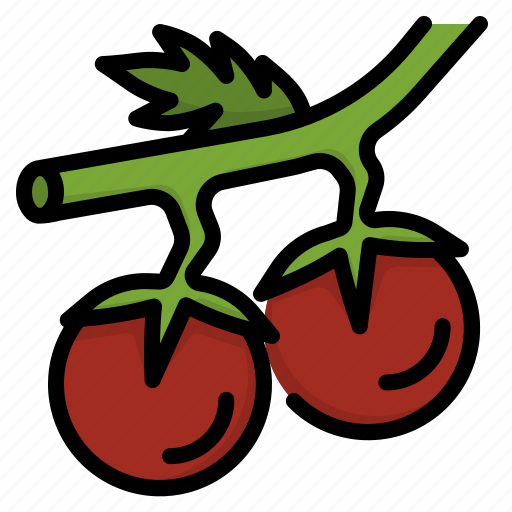Food, plant, red, tomatoes, vegetable icon - Download on Iconfinder