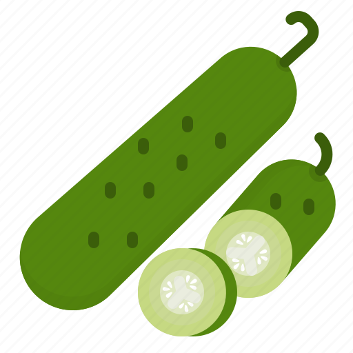 Cucumber, food, green, plant, vegetable icon - Download on Iconfinder