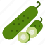cucumber, food, green, plant, vegetable 