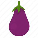 eggplant, food, fruit, plant, vegetable
