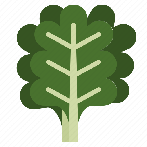 Green, kale, leaf, salad, vegetable icon - Download on Iconfinder