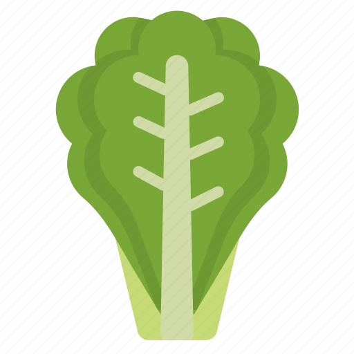 Green, leaf, lettuce, romaine, salad, vegetable icon - Download on Iconfinder