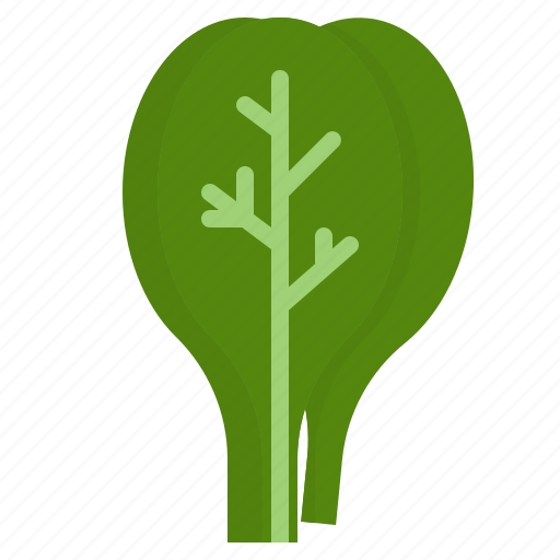 Fiber, green, leaf, spinach, vegetable icon - Download on Iconfinder