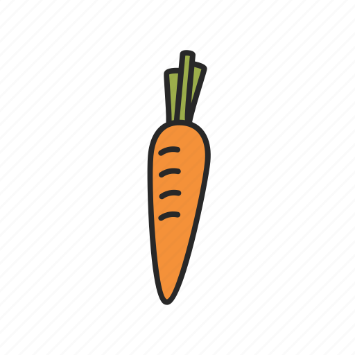 Carrot, food, healthy, root, vegetable icon - Download on Iconfinder