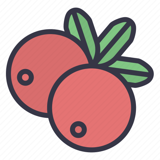 Winter, seasonal, food, vegetables, fruits, berry, cranberry icon - Download on Iconfinder