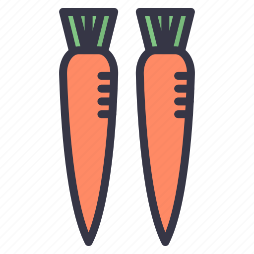 Winter, seasonal, food, vegetables, fruits, carrots, root icon - Download on Iconfinder
