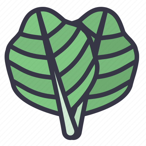 Winter, seasonal, food, vegetables, chard, leaf, spinach icon - Download on Iconfinder