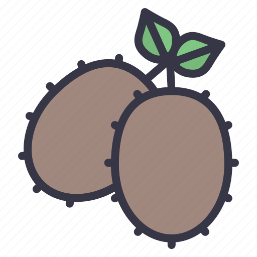 Winter, seasonal, food, fruits, kiwi, kiwifruits, berry icon - Download on Iconfinder