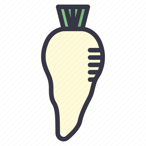 Winter, seasonal, food, vegetables, parsnip, radish, root icon - Download on Iconfinder