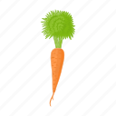 carrot, cartoon, food, healthy, organic, vegetable, vegetarian