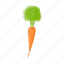 carrot, cartoon, food, healthy, organic, vegetable, vegetarian 
