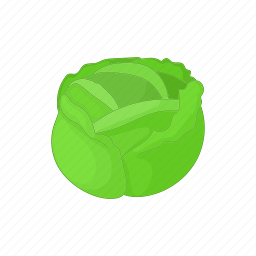 Cabbage, cartoon, food, fresh, healthy, organic, vegetable icon - Download on Iconfinder