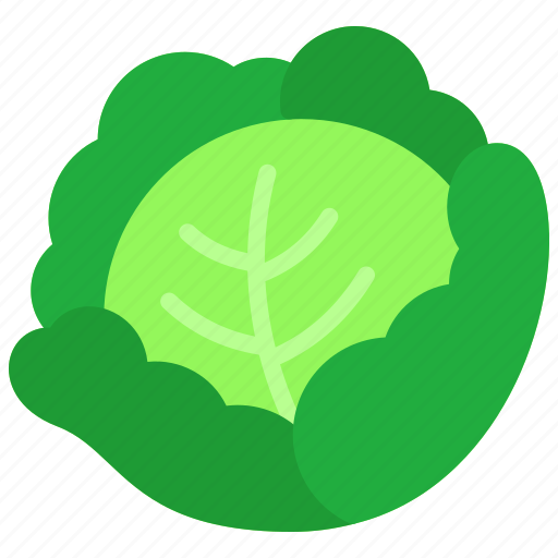 Vegetables, cabbage, food, garden, gardening, healthy icon - Download on Iconfinder