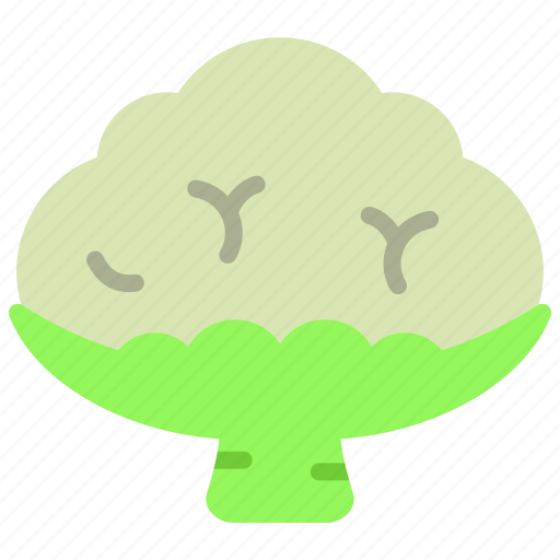 Vegetables, cauliflower, food, cabbage, gardening, healthy icon - Download on Iconfinder
