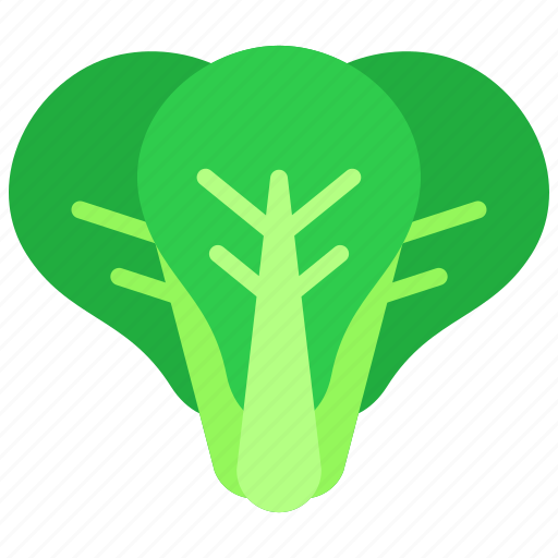 Vegetables, mache, food, gardening, healthy icon - Download on Iconfinder