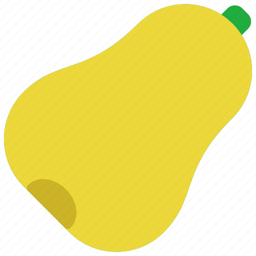 Vegetables, squash, food, gardening, healthy icon - Download on Iconfinder