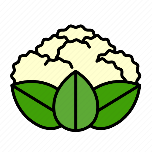 Vegetable, cauliflower, broccoli, cabbage, organic, food, healthy icon - Download on Iconfinder