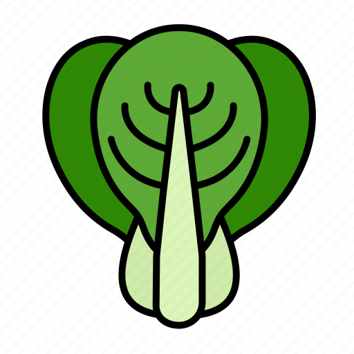 Vegetable, bok choy, food, healthy, cabbage, chinese, pak choi icon - Download on Iconfinder