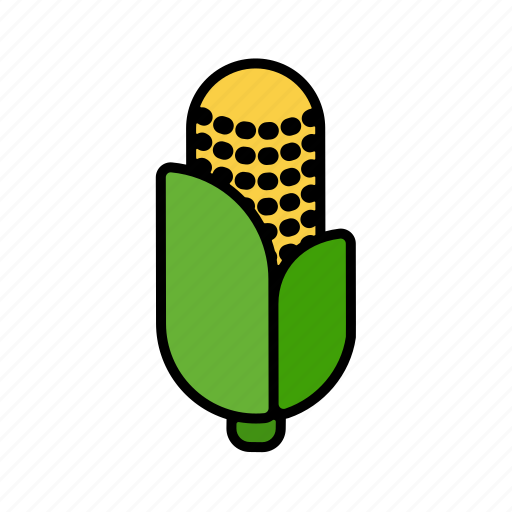 Vegetable, maize, corn, cob, grain, organic, cereal icon - Download on Iconfinder