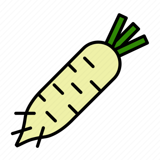 Vegetable, daikon, food, white radish, root, parsnip, healthy icon - Download on Iconfinder
