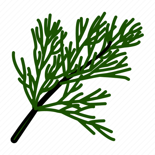 Vegetable, dill, fennel, herb, ingredient, leaf, spice icon - Download on Iconfinder