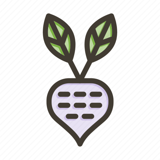 Turnip, vegetable, food, healthy, organic icon - Download on Iconfinder